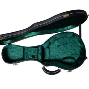 MONOGUITARBAG Guitar Case